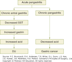 stomach schwartzs principles of surgery 11e