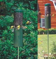 Check spelling or type a new query. Classic Bird Feeder With Squirrel Baffle And Pole