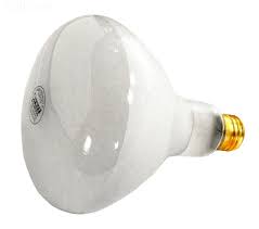 Pentair Amerilite Pool Light Bulb 500 Watt 120v Poolsupply4less