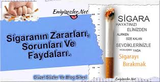 sigaranin zararlari sorunlari ve faydalari sigara seyahat blog