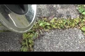 Es Kostet Etwas Muhe Das Unerwunschte Unkraut Zwischen Den Steinen Ihrer Terrasse Zu Entfernen Wir Zeigen Unkrautvernichtungsmittel Unkraut Unkraut Entfernen