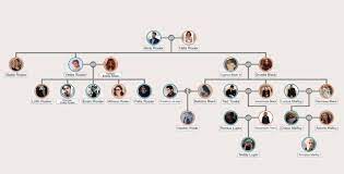 The rozier/rosier family originally from france in the 1500s to england to the united states. The Rosier Family Yes I Added Felix From Hogwarts Mystery It Says