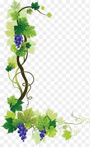 They are used to wrap meat, rice, mushrooms, etc. Common Grape Vine Graphy Creative Grape Vines Design Border Leaf Png Pngegg