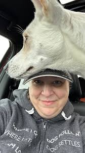 Pomeranian earns canine athletic title