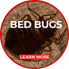 Our pest control services are perfect for homes, businesses, schools, laboratories, restaurants, large multiunit apartment and condominium buildings. Swat Pest Management Owensboro Pest Control Evansville Pest Control