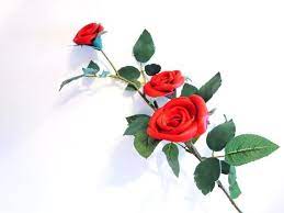 Pin On Awesome Flowers