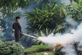 To get a pest control contract east sydney. What Time Of Year Is The Best For Pest Control In Sydney Twice Blessed Bloggers