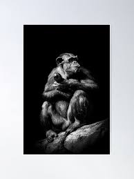 Black and White Monkey Photo" Poster for Sale by Adi Segal