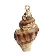 We did not find results for: 6 Conch Shell Pendants With Gold Painted Details Approximately 1 Inch Amazon In Home Kitchen