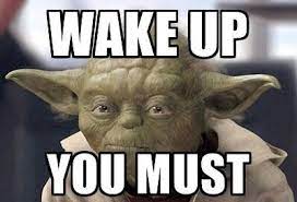 12 Ideias De Yoda Imagens Star Wars Yoda Engracado Frases