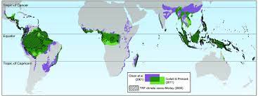 Tropical rainforests typically receive between 1.5 m to 4 m of rainfall each year. Ambiguity In The Definition Of The Tropical Rainforest Trf Biome The Download Scientific Diagram