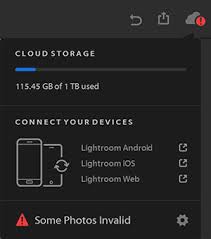 Adobe photoshop lightroom classic cc 2019 v8.2 final mac os 2019, eng\rus. Bekannte Probleme Und Umgehungslosungen