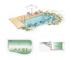 Was Ist Ein Biopool Salamander Naturgarten Ag Biopool Naturschwimmteich Naturschwimmbecken