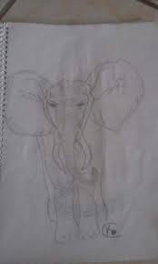 Déjame decirte que existe hasta un dios para los hindúes conocido como ganesh o ganesha quien es considerado me encantaría que estos dibujos de elefantes son muy interesantes, lo mejor de todo es que tenemos una gran variedad que van a terminar por ser lo. Dibujo De Elefante A Lapiz Arte Amino Amino