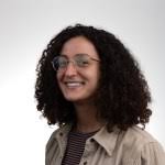 Rare harlequin duck spotted in Santa Cruz sparks frenzy among birdwatchers 