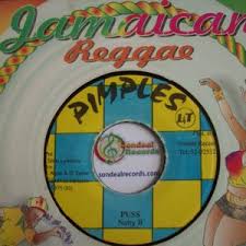Natty B Archives Rare Vinyl Collectible Records Reggae