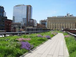 The High Line Park New York Architecture High Line New York Pictures