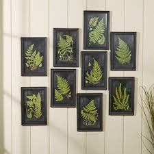 Check out production photos, hot pictures, movie images of cody fern and more from rotten tomatoes' celebrity gallery! Farmhouse Rustic Ferns Wall Art Birch Lane