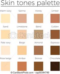 Skin Tones Color Palette Vector