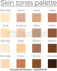 skin tones color palette vector