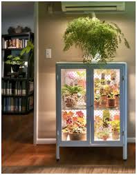 Looking for small greenhouse ideas that you can build on your own? Greenhouse Cabinet Brandon Flye