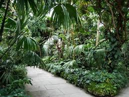 In diesem beitrag möchte ich euch den garten und seine verschiedenen. Der Botanische Garten Munchen Fantastische Flora In Nymphenburg