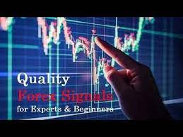 Forex Signals For Beginners Forex Signals Forex Beginners