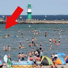 The baltic sea is an arm of the atlantic ocean, enclosed by denmark, estonia, finland, germany, latvia, lithuania, poland, russia, sweden an. Ostsee Tier Phanomen An Den Stranden Konnte Vielen Den Urlaub 2020 Vermiesen Welt
