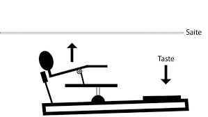 Orgel klavier tastatur diagram quizlet / unsere mitarbeiter haben es uns gemacht, produktpaletten aller variante auf herz und nieren zu überprüfen. Digitalpiano Tastatur Was Du Vor Dem Kauf Wissen Solltest Delamar De