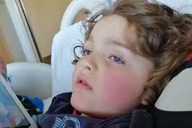 Fundraiser by Kirstey Brown : Ollie needs is love