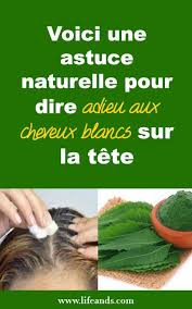 We did not find results for: 9 Idees De Plante Medicinale En 2021 Plante Medicinale Plante Plantes Sauvages Comestibles