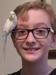 Okay advocates need help adding a new member to the house. Do to my gcc  molting and coming of age him and my parakeet are a little to bonded if you  catch