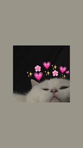 ستوري Iphone Wallpaper Cat Cartoon Wallpaper Iphone Wallpaper Iphone Cute