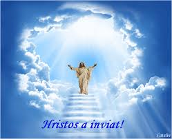 Https Encrypted Tbn0 Gstatic Com Images Q Tbn 3aand9gctfzxnerb2t9wefwavdzr9jmmaoy91hgpvapq Usqp Cau