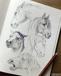 What Did That Last Horse Witness Horse Drawings Animal Drawings Animal Sketches