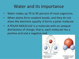 These were originally isolated from cell nucleus. Water And Biomolecules