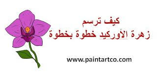 تعليم الرسم للاطفال المبتدئين رسم زهرة الأوركيد خطوة بخطوة easy drawings flower step by step orchid flower