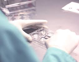 Postulez à l'annonce dont les. Agrement Bonnes Pratiques De Laboratoire Bpl Cosmetique Bio Hc Le Laboratoire Cosmetique Specialiste Des Tests In Vitro I Bordeaux France