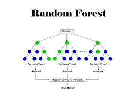 Random Forest là gì? Ứng dụng của thuật toán trong Machine Learning