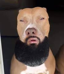 ES HERMOSO 🥰🥰 EL HOMBRE MÁS GUAPO DE MÉXICO 🇲🇽 EL HOMBRE MÁS GUAPO DE  MÉXICO!!! 🇲🇽😍 Jesús Gustavo Cancino, representante de la Ciudad de  México, con 29 años, fue coronado como