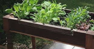 How To Make A Lettuce Table From Cast Off Furniture Backyard Garden Diy Aquaponics Diy Backyard
