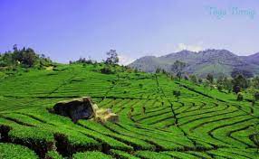 Kalau gambar ini kamu suka? Pemandangan Alam Indonesia Hd 1024x630 Download Hd Wallpaper Wallpapertip