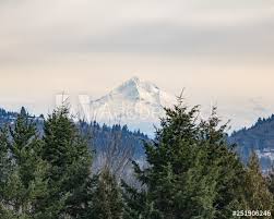 The powell butte nature park visitor center. Mount Hood View In Powell Butte Nature Park Portland Oregon Buy This Stock Photo And Explore Similar Images At Adobe Stock Adobe Stock