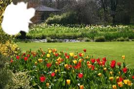 Cette année, nous fêtons le. Photo Montage Le Printemps Pixiz