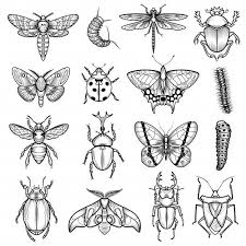 Download Insects Black White Line Icons Set For Free In 2020 Insect Art Bug Tattoo Tattoo Flash Art