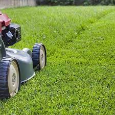 Pin On Donofrio Landscape