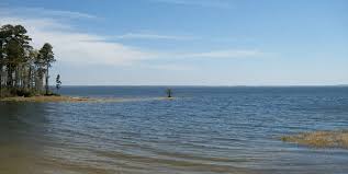 We have back in and pull through sites available. Top 13 Places To Stay On Toledo Bend Lake Louisiana Exploreist