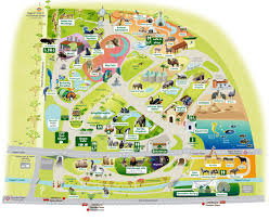 London Zoo Map Jpg 1200 985 Zoo Map Theme Park Map London Zoo