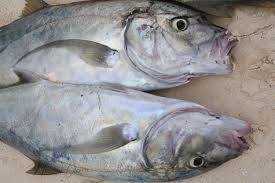Image result for Scombroid Fish Poisoning
