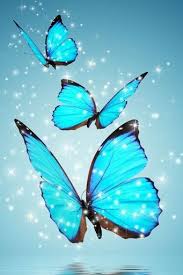 Rama however is not without flaws. Rama Rama Biru Wallpaper Muat Turun Ke Telefon Bimbit Anda Dari Phoneky